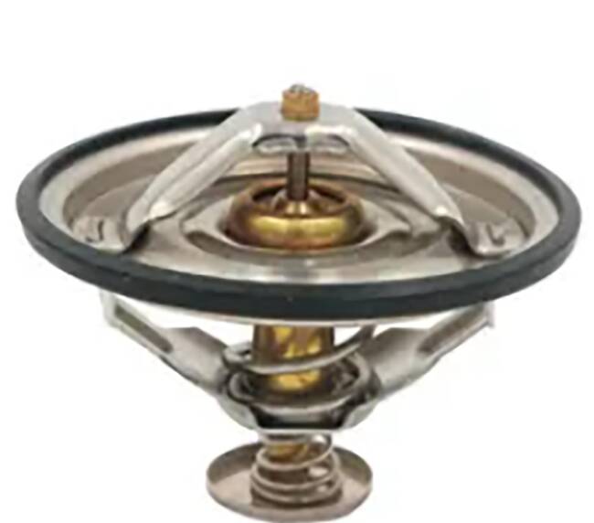 13023546 termostato-simap