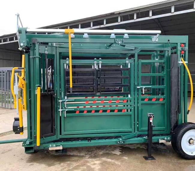 cepo maestro-simap paraguay